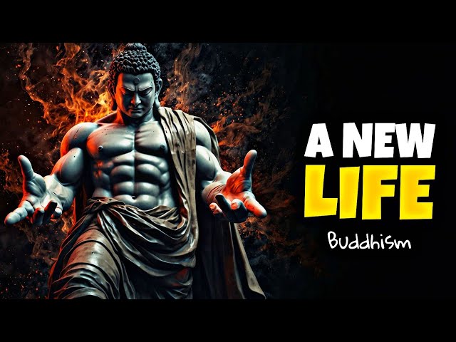 7 PRINCIPLES that CHANGED my LIFE in 1 DAY | BUDDHIST WISDOM