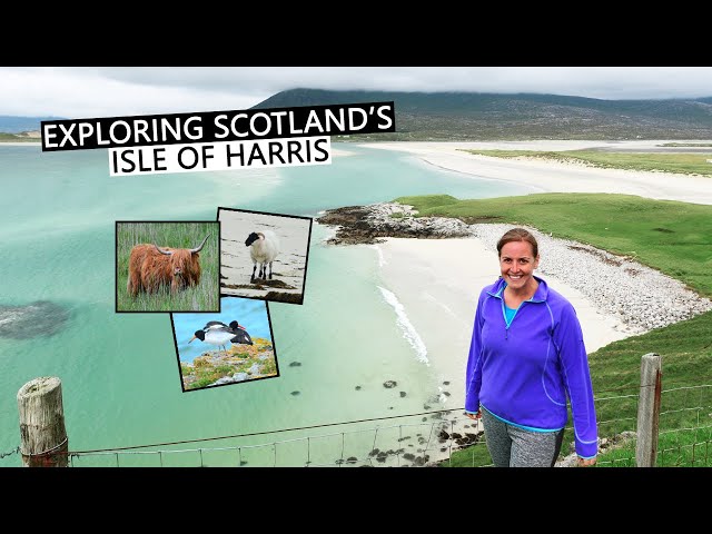 Isle of Harris Beaches, Sam's Seafood Shack + Scottish Coastal Walks