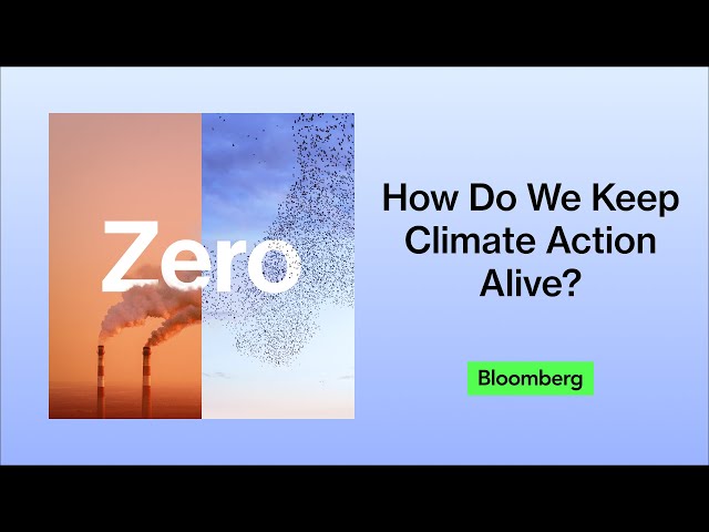 Green growth is expensive. The global economy can afford it. | Zero: The Climate Race