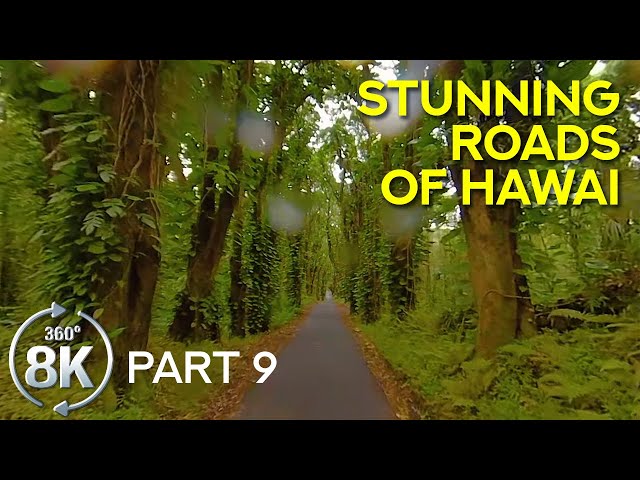 8K Stunning Roads of the Big Island, Hawaii - Virtual 360˚ Scenic Drive on a Tropical Island - #9