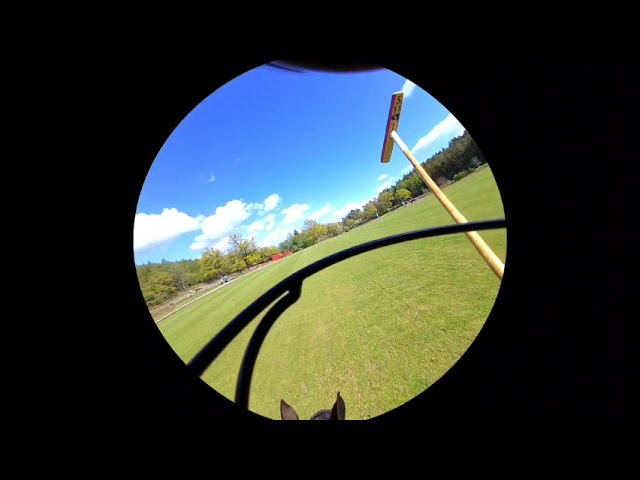 Horse Polo Swing Simulation in VR