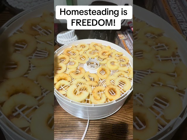 Freedom Starts with Homesteading! #homestead #homecanning #foodpreservation #freedom #security