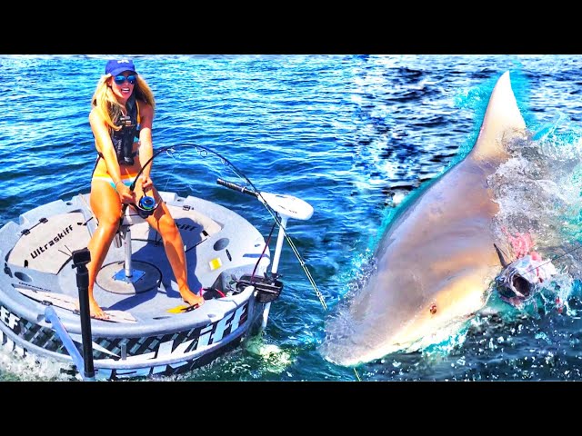 Craziest Fishing Videos Ever Seen! There’s Always A Bigger Fish Sharks