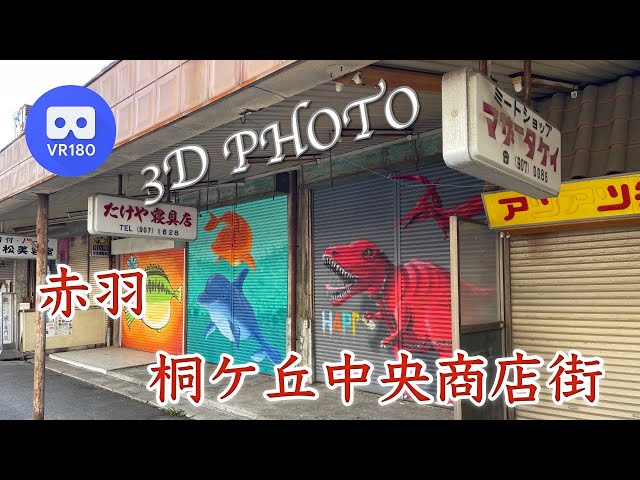 [3D VR180]  赤羽 桐ケ丘中央商店街