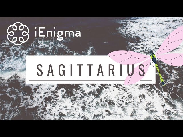 SAGITTARIUS- YOUR FINANCIAL STATUS💎✨IS GROWING RAPIDLY🌐🤑💯 YOU’LL BE A POWER COUPLE💪🏼💏🌺 FEB SOULMATES