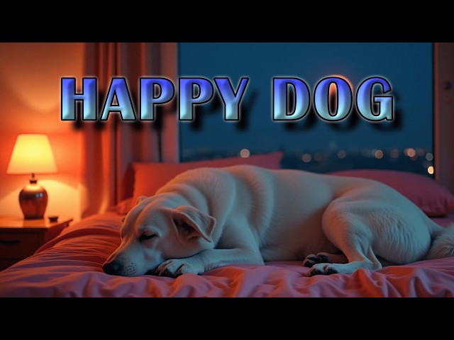 🐶 Soothing relaxing sounds help calm your dog 🍄 HAPPY DOG so chill free time