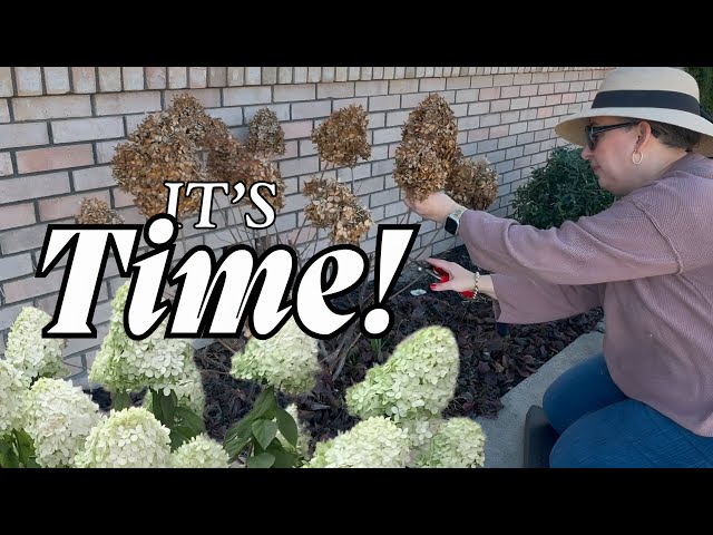 Garden Cleanup Tips That Will Make Your Plants BLOOM Like Crazy!