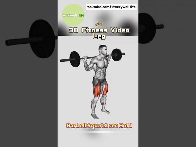 Title：3D Exercise Video Leg Edition →Barbell Squat 2 sec Hold