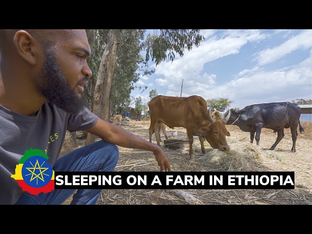 Inside a Village Guesthouse in ETHIOPIA!