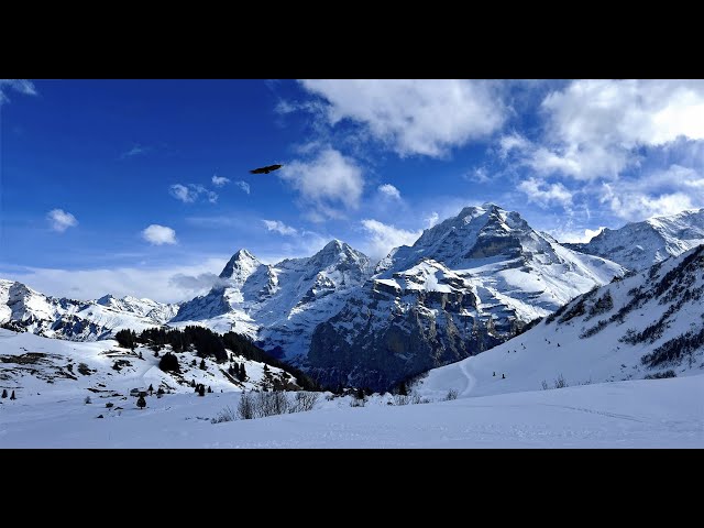 Switzerland 🇨🇭 4K, 60fps - Skiing in Jungfrau, down to Almendhuben (Mürren)