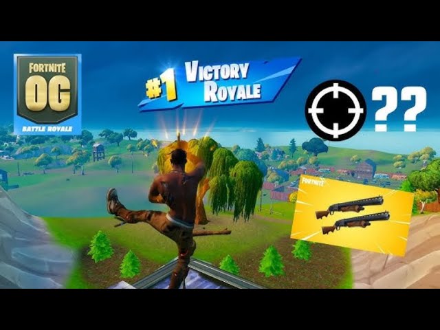 Insane Fortnite win with high eliminations(FortniteOG)