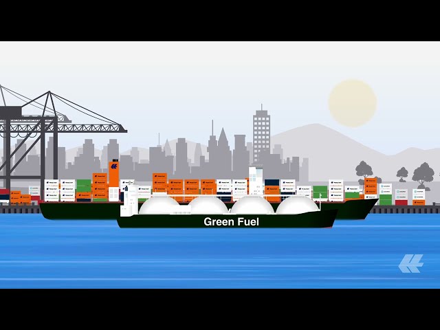 Gemini Cooperation: Revolutionizing Global Shipping | Hapag-Lloyd