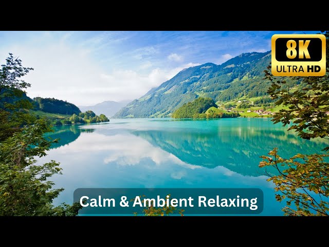 Calm & Ambient Relaxing Music for Stress Relief, Meditation, and Focus