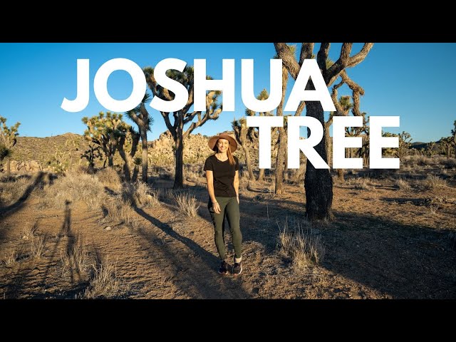 Joshua Tree National Park - ALL of the BEST Things to do, See and Experience