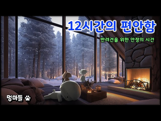 #멍마들  강아지를 위한 안정의 시간🐶 포근한 벽난로와 고요한 눈❄️ - Time for stability for dogs