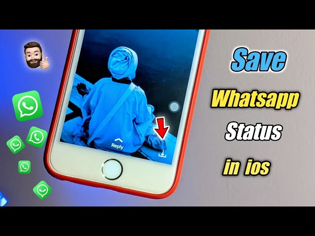 How to download WhatsApp status in iPhone || How to save WhatsApp status in ios