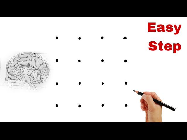 Dots turns into Human Brain Diagram Drawing Class 10 // Human Brain Diagram