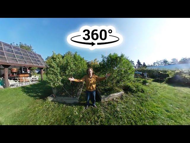 Dreamers 360° Cannabis Tour