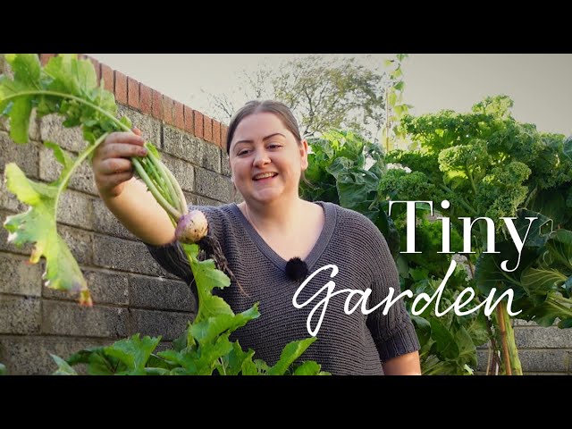 Tiny Irish Vegetable Garden | The Tiny Garden