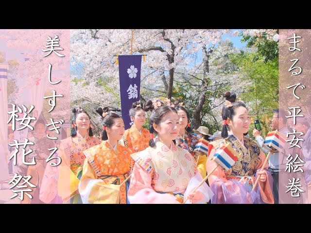 Cherry-blossom viewing parade and Festival in Hirano Shrine 2024