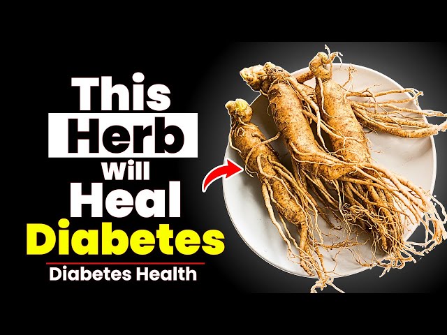 TOP 10 Most Powerful HERBS for Diabetics to Heal! (Lower Blood Sugar)