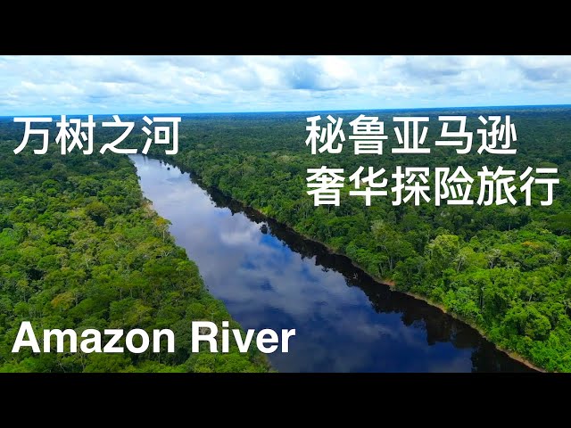 万树之河 亚马逊河 秘鲁段 奢华探险河轮之旅 2023 捕捉水蟒Anaconda 地球之肺 森林之镜 亚马逊航拍 Drone