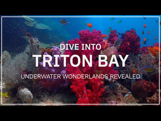 Dive Into Triton Bay:  Underwater Wonderlands Revealed | Indonesia | 4K HDR | 2024