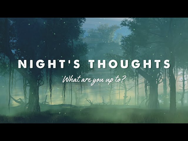 The Story of the Forest - A Musical Journey Through Nature (Night Forest Playlist)