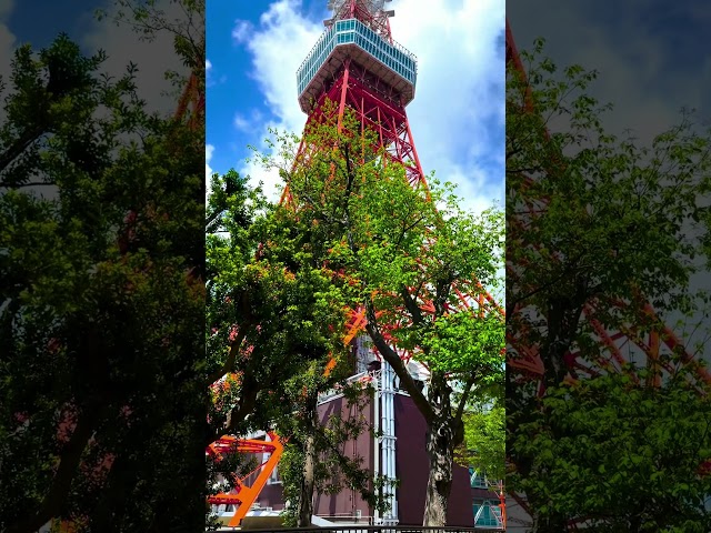 #tokyotower #tokyo #japan