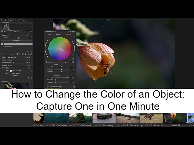 How to Change the Color of an Object: Capture One in One Minute