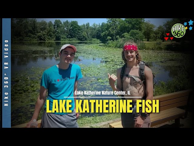 Lake Katherine Nature Center, IL - Lake Katherine Fish (Hike 360° VR Video)