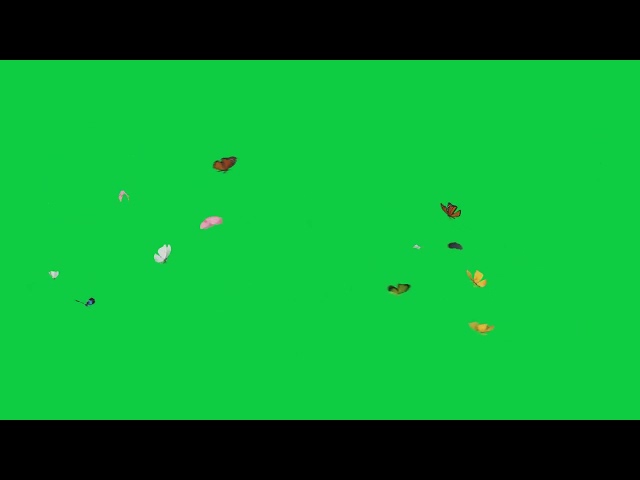 [4K] Butterflies Green Screen