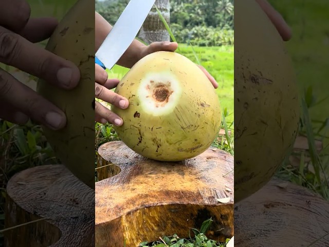 Whats Amazing Technique Coconut Cutting #fruit #coconut #amazing #asmr #Viral #satisfying #Short