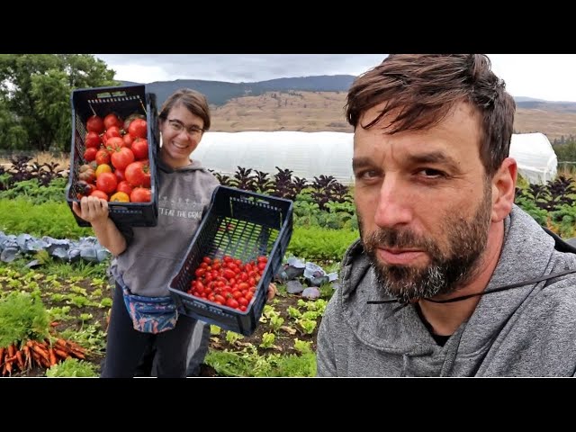 Autumn Harvesting For The Farmers Market |  Will Rain and Cold Lower Our Sales?