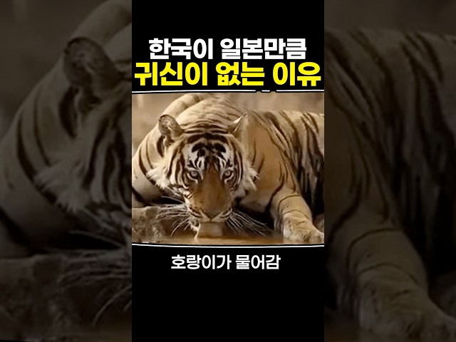 한국이 일본만큼 귀신이 없는 이유