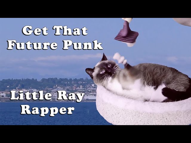 Get That Future Punk - Little Ray Rapper - 2025 REMIX!