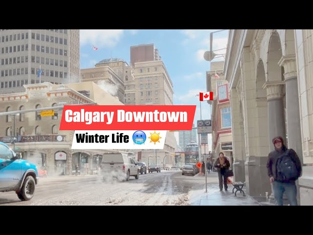 Saturday Life in Calgary Downtown | Calgary Winter | Alberta, Canada 🇨🇦