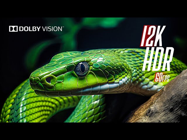 Real 12K HDR 60FPS Dolby Vision