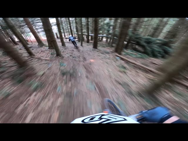 TREE DODGING // INNERLEITHEN DH