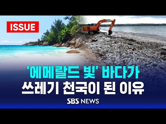 🔴'에메랄드 빛' 바다 뒤덮은 검은 쓰레기 파도...세계는 지금 쓰레기 전쟁중 | SBS 이슈라이브