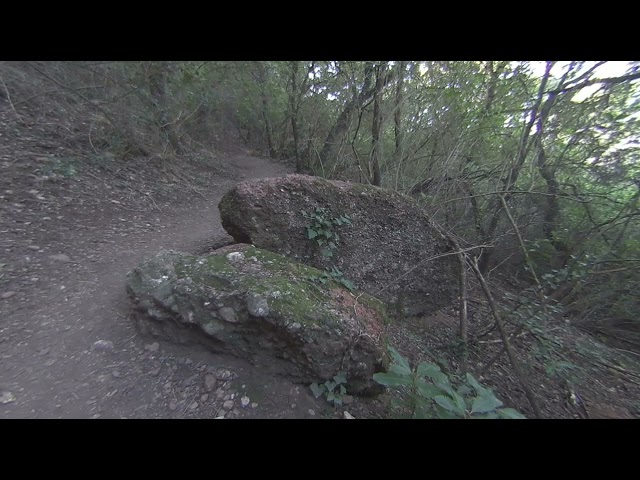 Cami vell de l'Obac  Vacarisses (Catalunya)