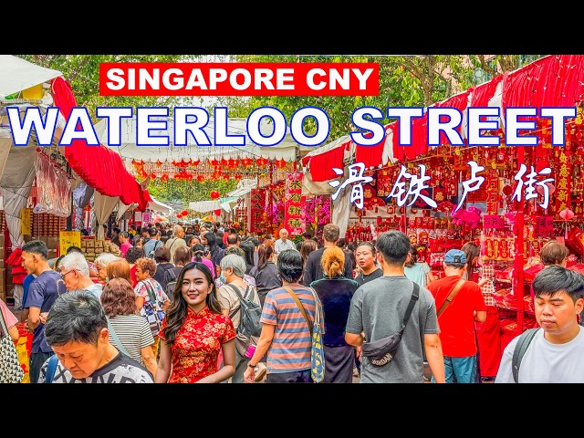 Singapore Chinese New Year 2025 | Waterloo Street CNY Market | 4K HDR Singapore Travel🧧🇸🇬👍