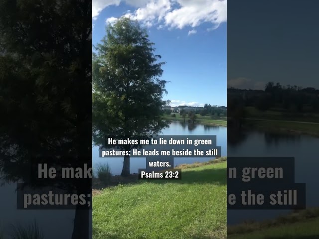 Daily Bread - #jesus #foryou #psalms #water #nature #bible #holyspirit #shorts #orlando #reels #god