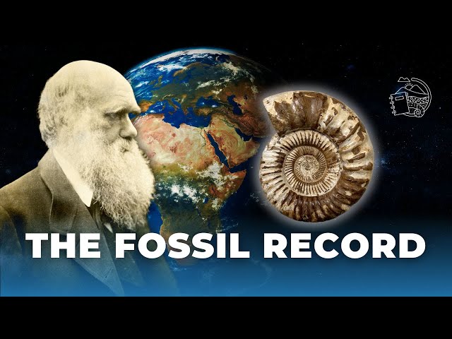 The Fossil Record