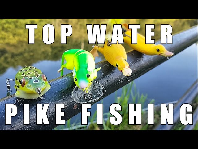 Topwater Lure Pike UK! Savage  Takes Using Ducks, Frogs, Bats, Rats