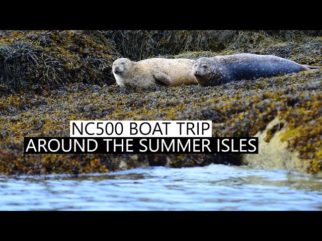 NC500: Awesome Ullapool Boat Trip Seeing Sea Life in the Summer Isles