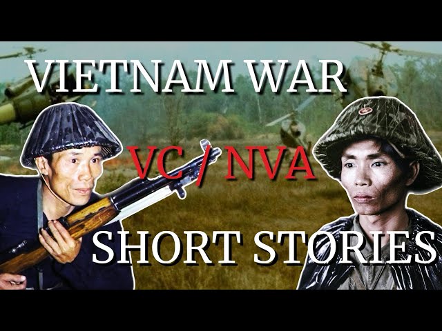 Vietnam War: Short Stories from the NVA and VietCong (Educational)