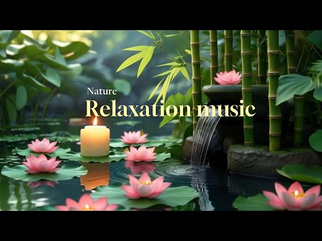 Stop Thinking Too Much, Stress Relieving Music, Sleep Music, Calming Music with Nature Sounds.