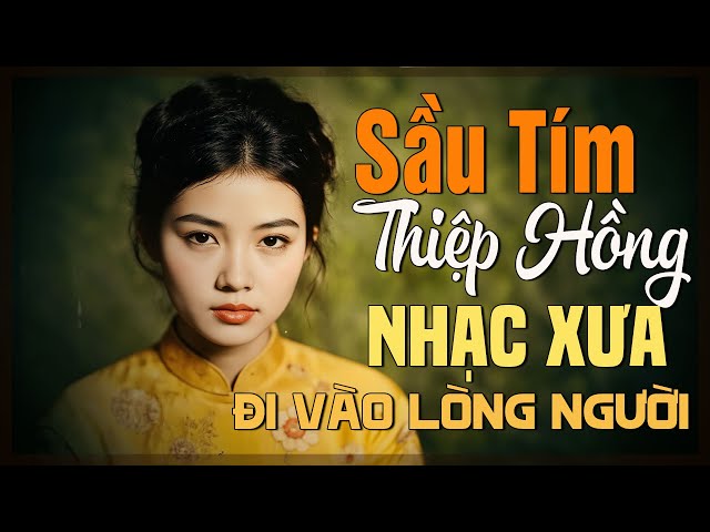 Nhạc Xưa 1975 Một Thời Còn Nhớ Mãi - Nhạc Vàng Xưa Sài Gòn 1975 Nhiều Danh Ca Đắt Giá Khó Tìm