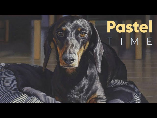 Dachshund Dog in Soft Pastel - Timelapse